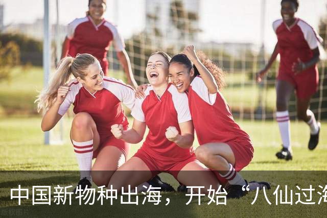 中国新物种出海，开始“八仙过海”