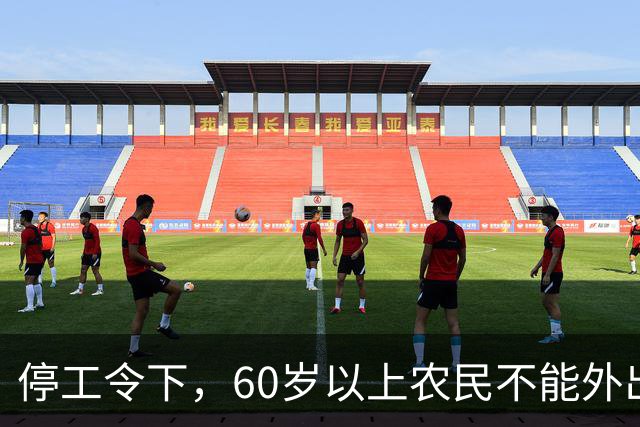 停工令下，60岁以上农民不能外出打工了？是否属实？农民提前打算