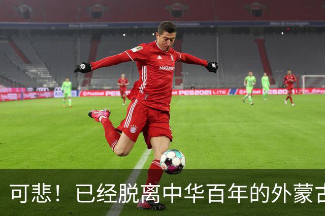 可悲！已经脱离中华百年的外蒙古，正在把中国人40年的努力毁掉！