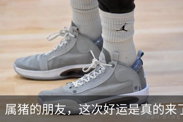 属猪的朋友，这次好运是真的来了