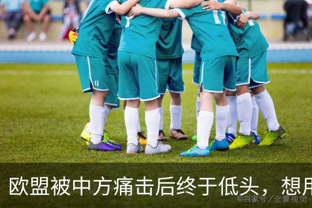 欧盟被中方痛击后终于低头，想用一换一来救阿斯麦供应商