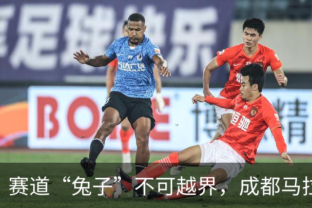赛道“兔子”不可越界，成都马拉松重罚敲响配速员管理警钟